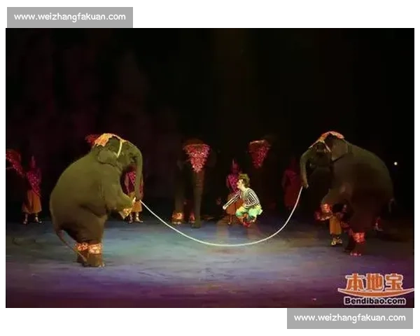 震惊!电竞世界文化节,颠覆你对游戏的想象! 震惊!电竞世界文化节,颠覆你对游戏的想象!